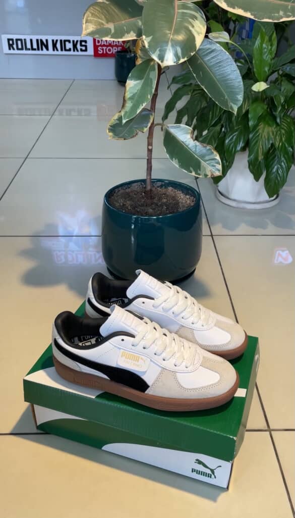 Puma Palermo White black